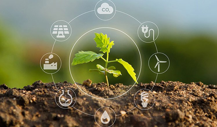 Économie circulaire : Comment les entreprises françaises transforment leurs déchets en or